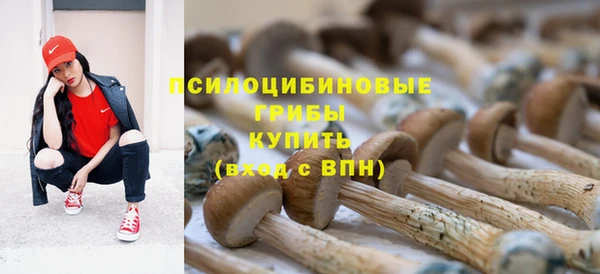 герыч Покровск