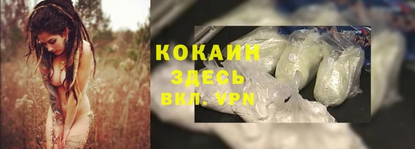 дживик Покров
