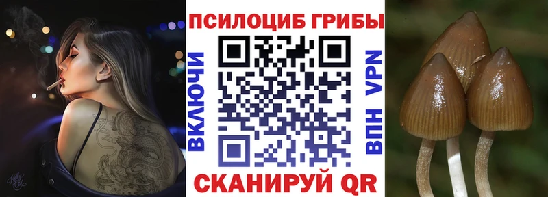 Псилоцибиновые грибы Cubensis  купить наркоту  Советский 