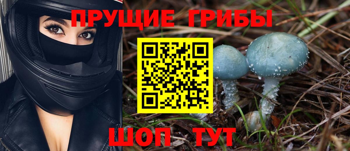 Галлюциногенные грибы Советский