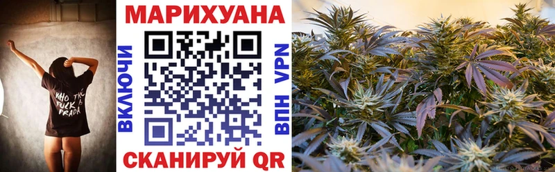Канабис OG Kush Советский